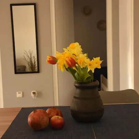 Apartmán Selce Holiday